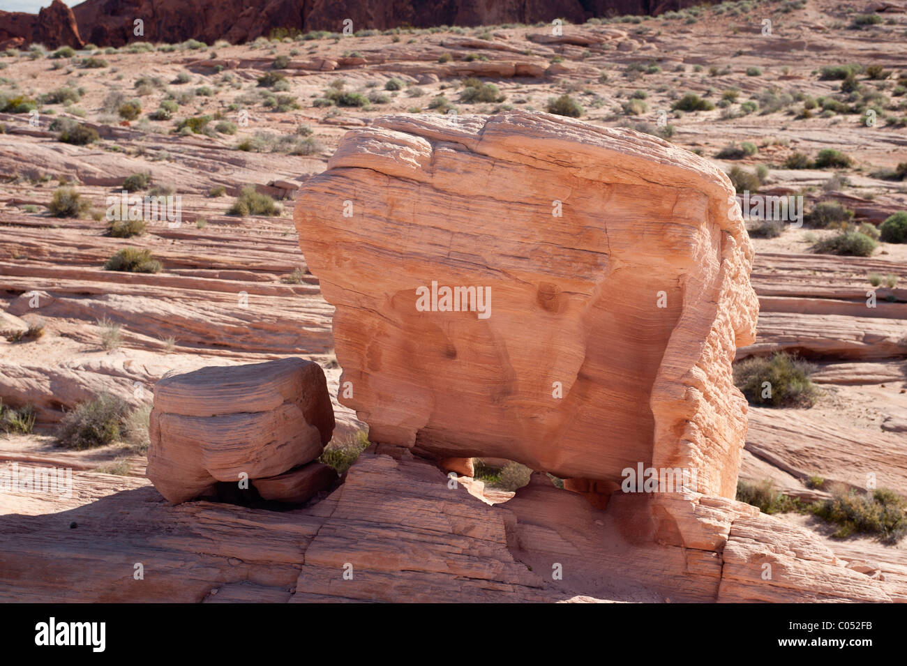 Grès Weatherd boulder à Vallée de Feu Park, Nevada. Près de la zone de coupoles blanches. Banque D'Images
