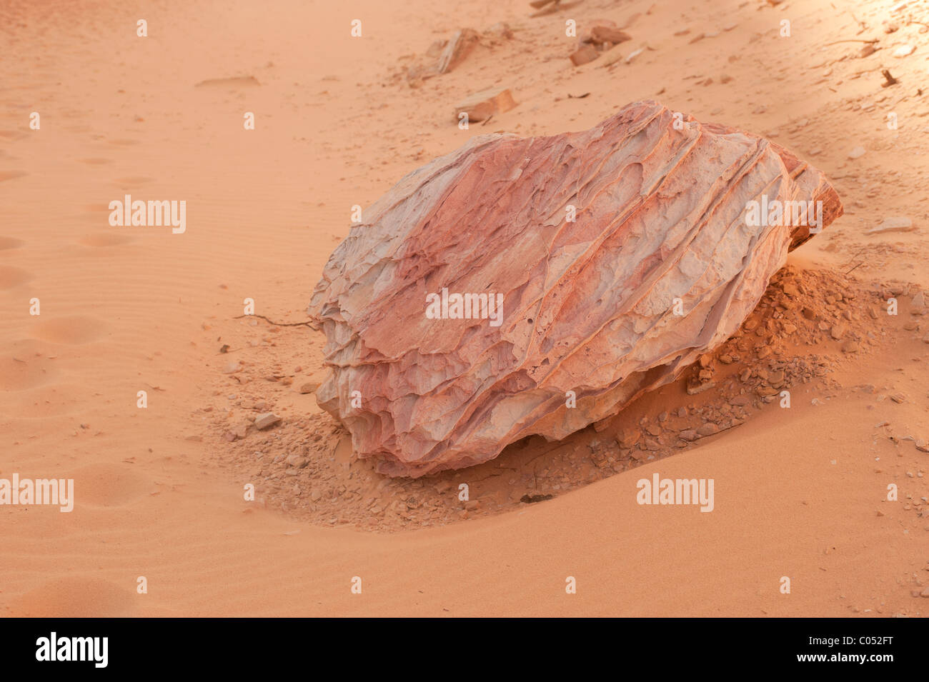 Pièce d'érosion de grès rose au dômes blancs, la Vallée de Feu State Park, Nevada Banque D'Images