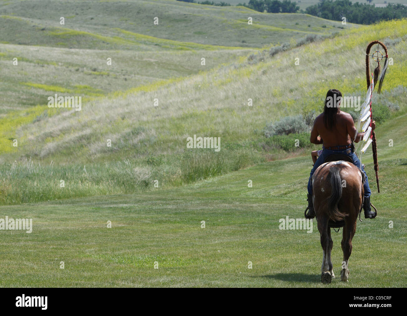 Bataille de Little Big Horn Banque D'Images