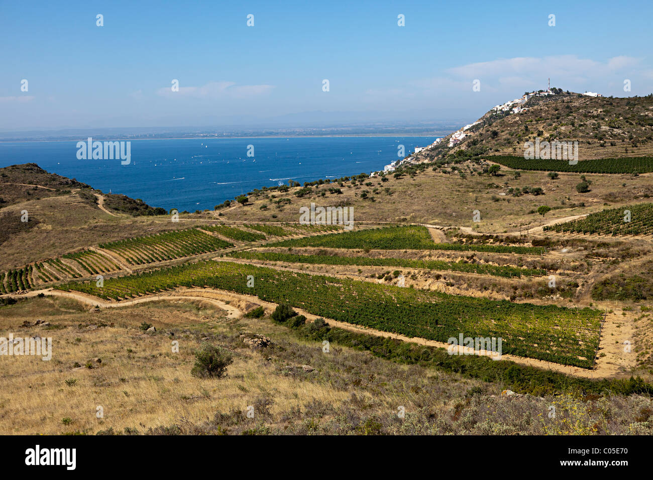 L'agriculture sur l'Almadrava champs près de Golf de la baie de Roses Emporda Catalogne Espagne Méditerranéenne Banque D'Images