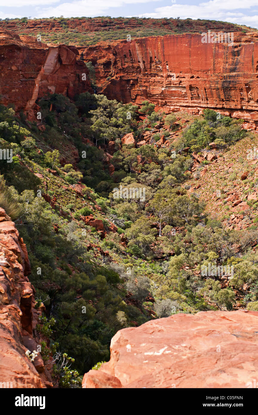 Kings Canyon, Australie Banque D'Images