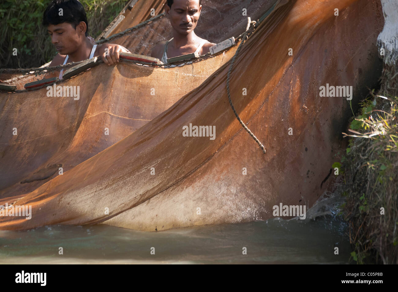 Pêcheur du Bangladesh la capture de poissons avec un filet. Banque D'Images