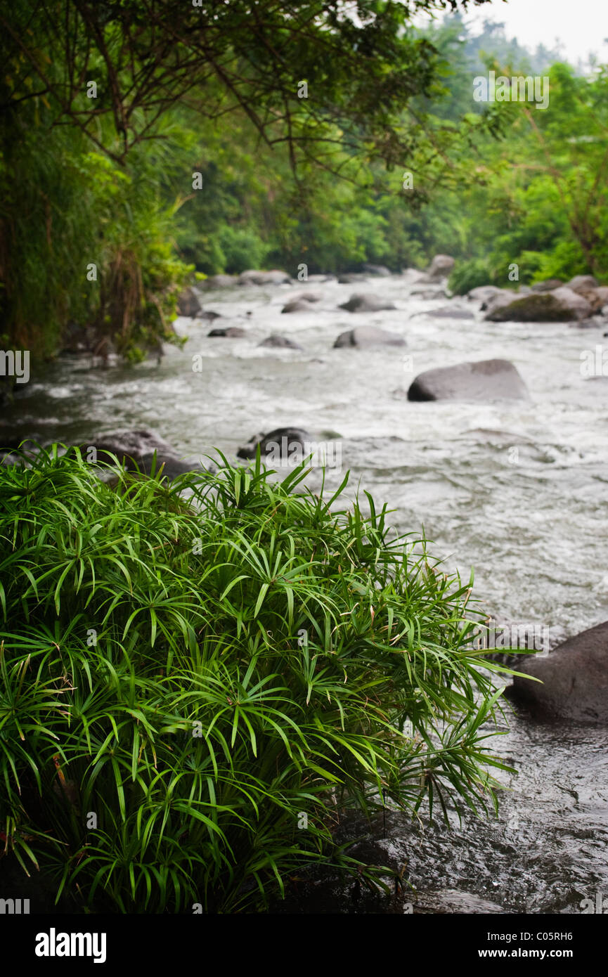 Cette rivière appelée Unda, qui s'étend un cours le long de la vallée de jonché de marbre, est le cœur même de Sidemen, Bali, Indonésie Banque D'Images