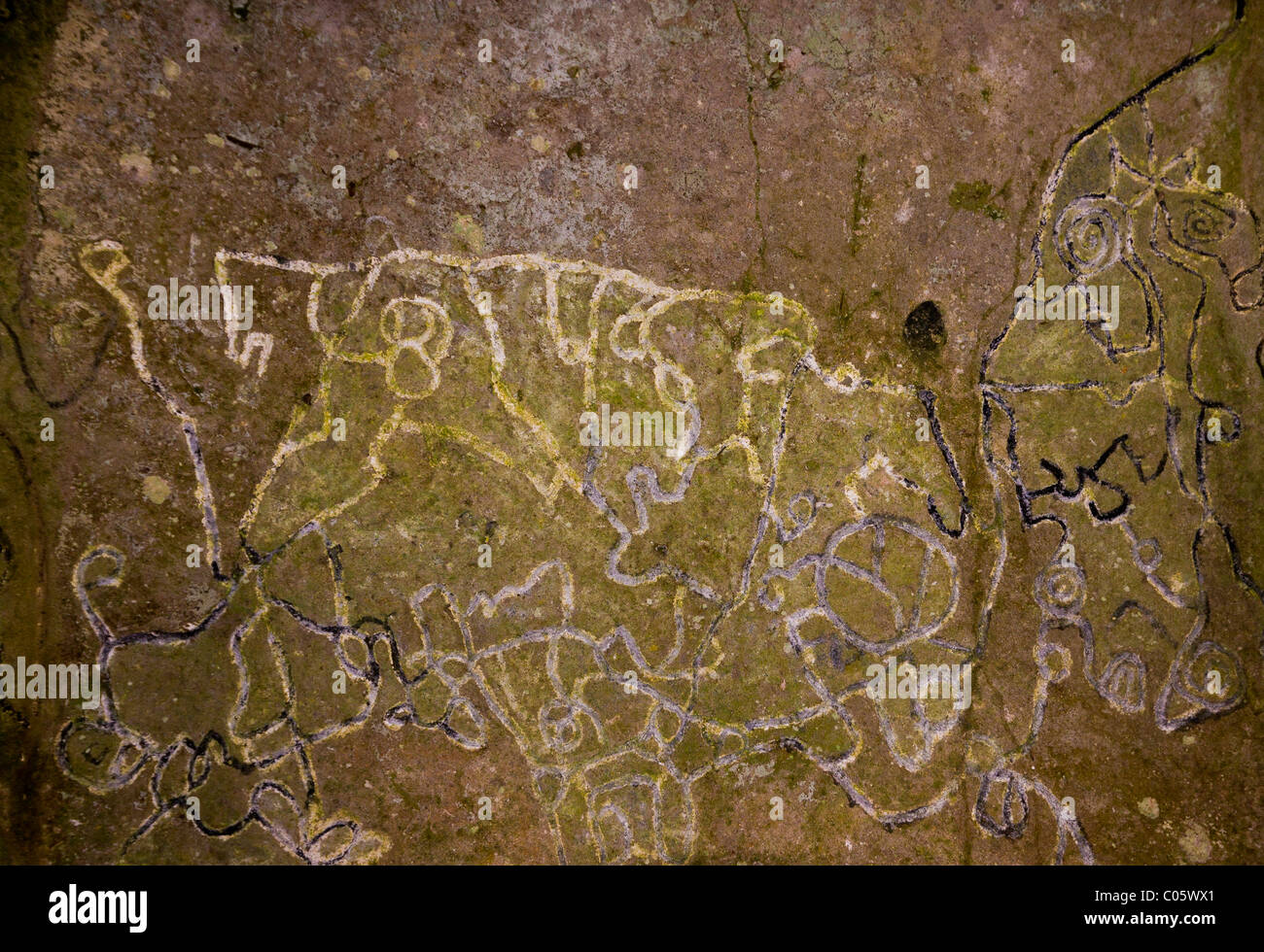 EL VALLE de Anton, PANAMA - pétroglyphes, l'art rupestre aborigène, au Sentier de la Piedra Pintada. Banque D'Images