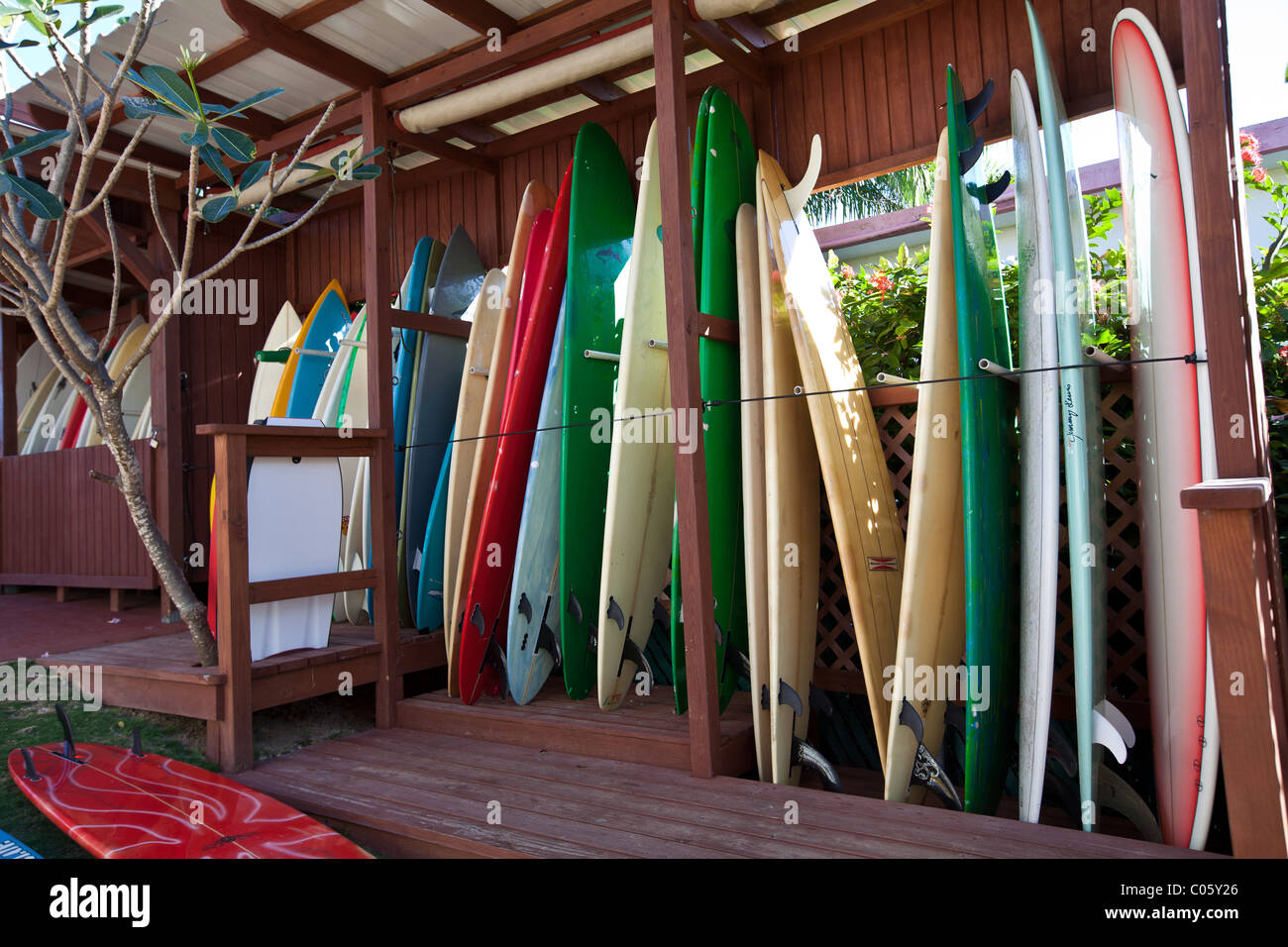 Planches à Mar Azul Surf Shop à Rincon, Puerto Rico Banque D'Images