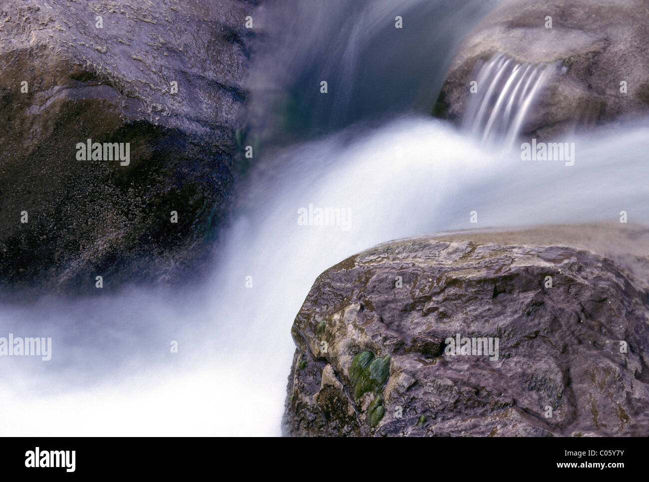 Détail de Virgin River cascade avec des blocs de grès, Zion Canyon, Zion National Park, Utah, USA. Banque D'Images