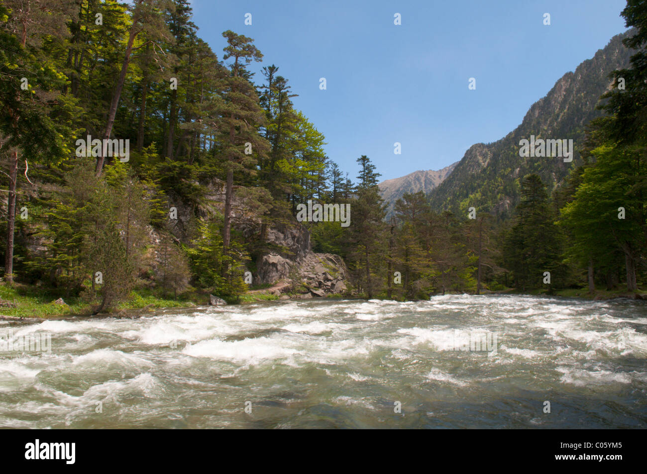 Rivière au pont d'espagne à côté du parking. près de Cauterets. parc national des Pyrénées, les Pyrénées, France. juin. Banque D'Images