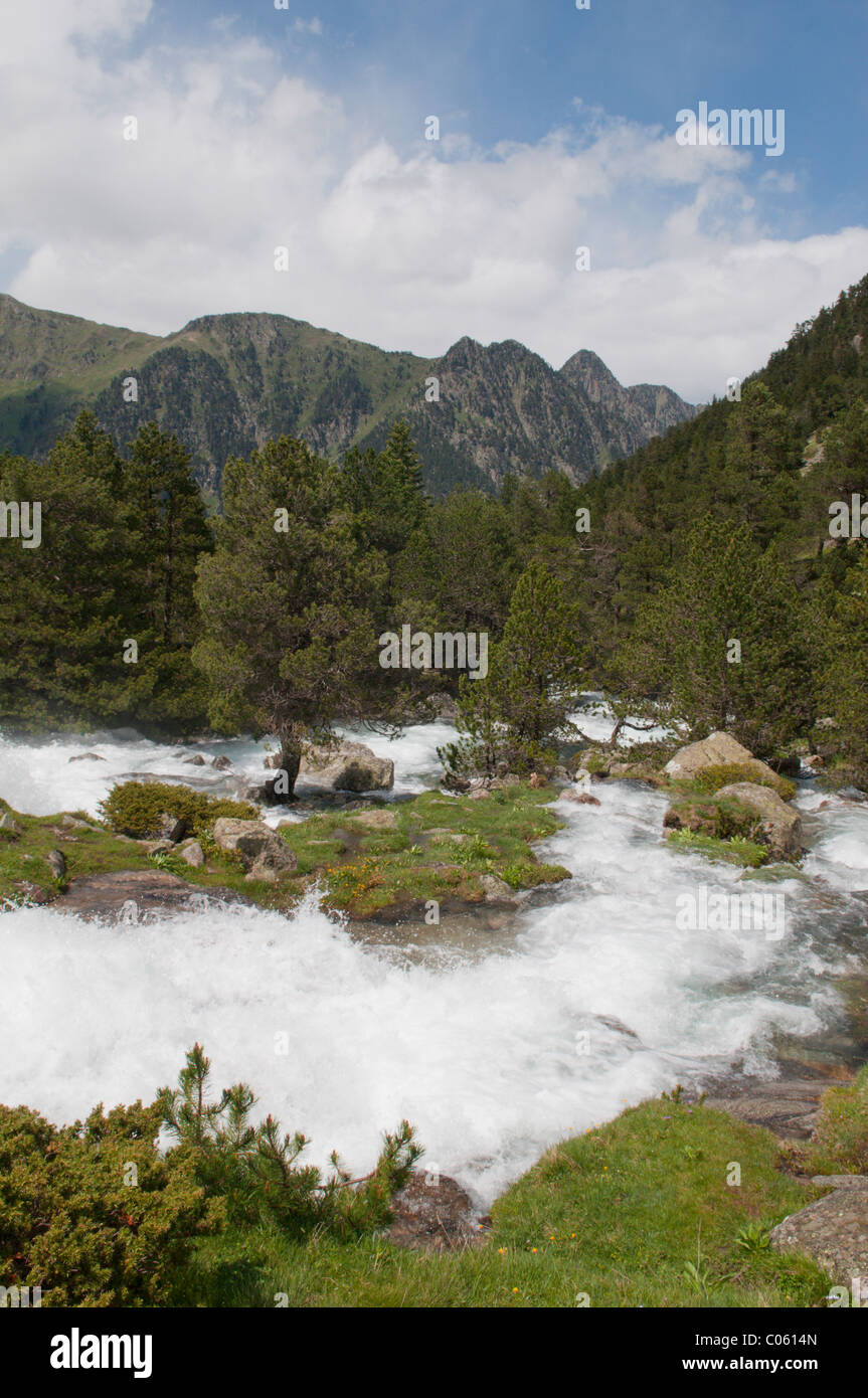 Rivière et cascades s'écoulant de gaube lac à pont d'espagne. près de Cauterets. parc national des Pyrénées, france juin. Banque D'Images