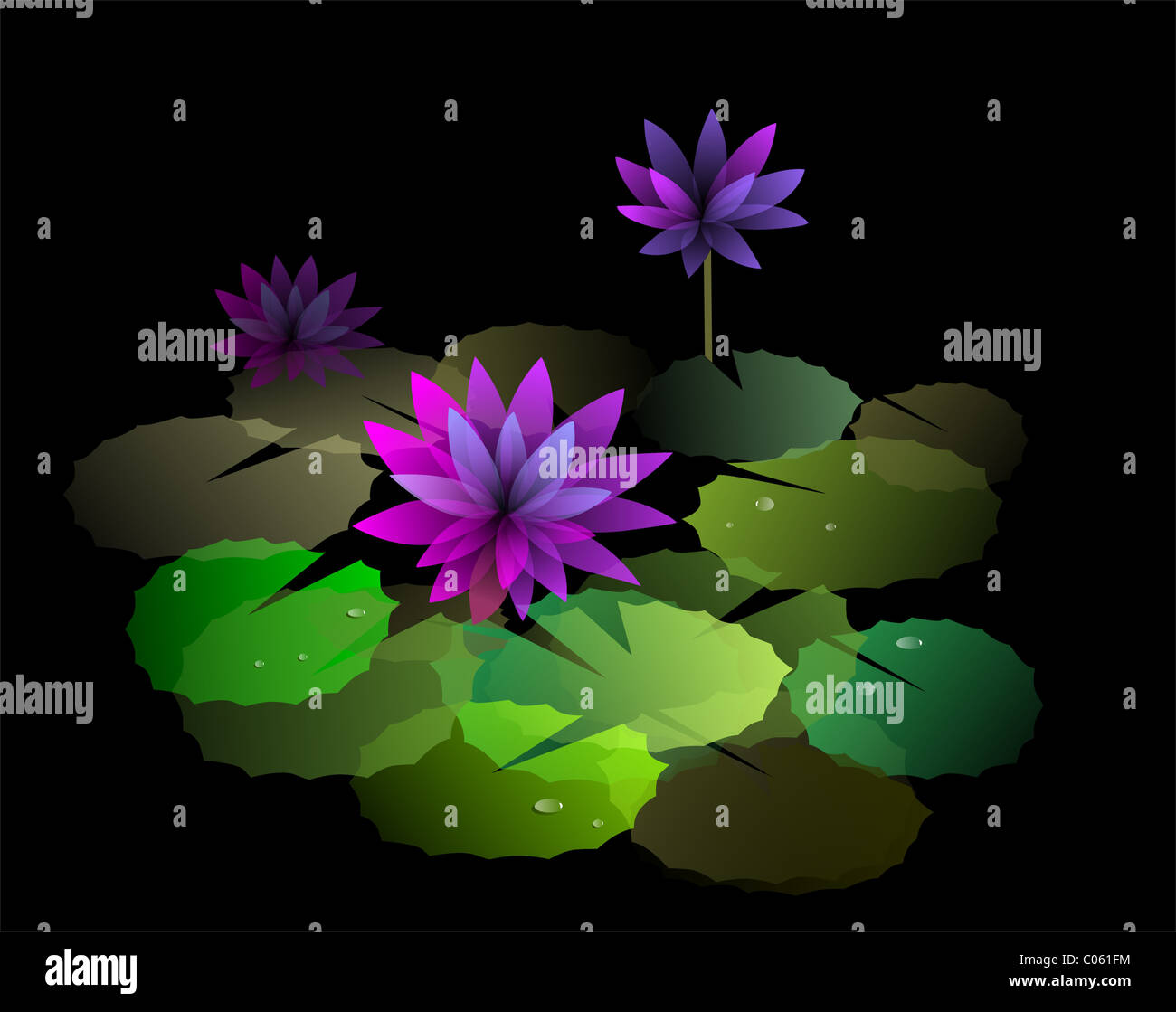 Peinture numérique de lotus en couleur arrière-plan. L'artiste, c'est sentir la beauté des fleurs de lotus et les feuilles dans le noir retour gr Banque D'Images