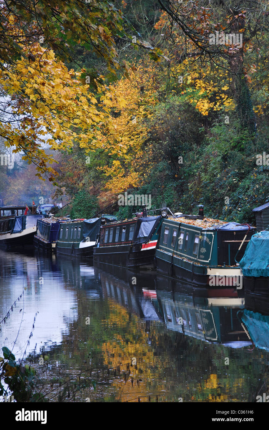 Bateaux à quai étroit amarré au milieu de la Pewsey Automne couleur Wiltshire, Royaume-Uni Novembre 2011 Banque D'Images