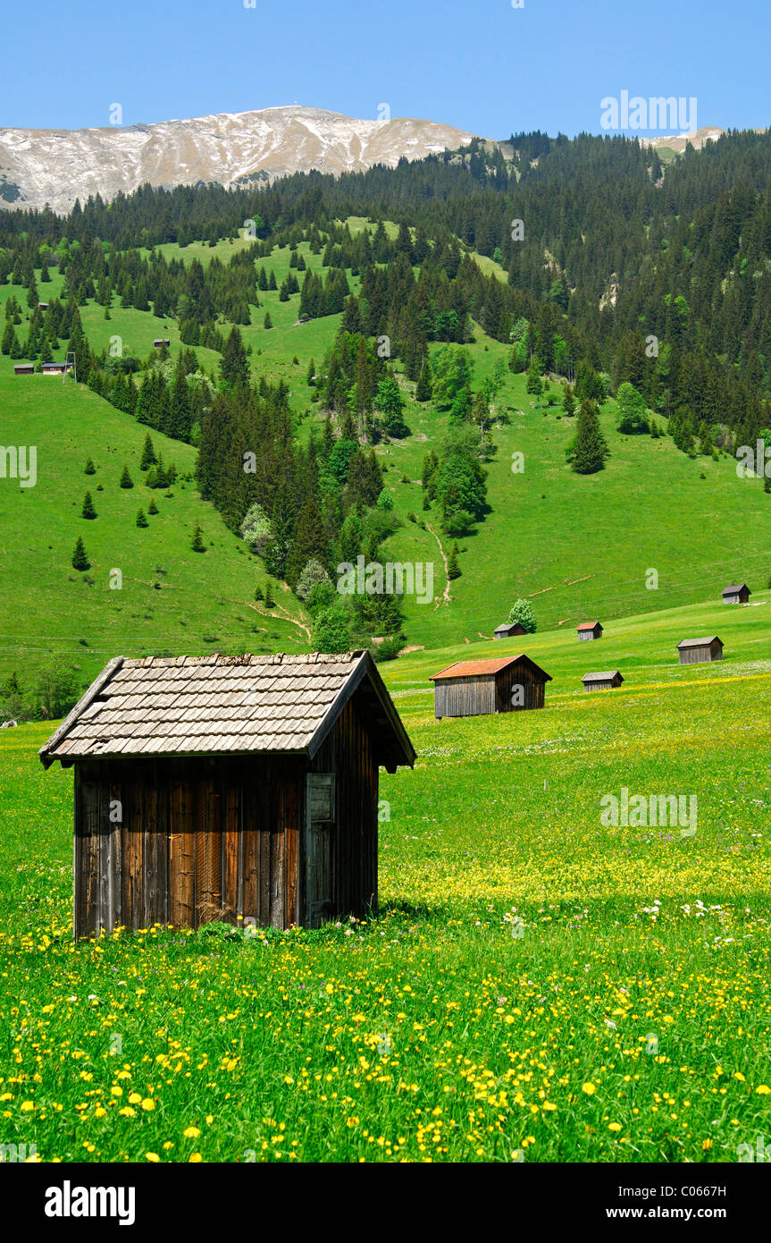 Grange à foin sur une prairie près de Laehn, Tyrol Zugspitz Arena, Tyrol, Autriche, Europe Banque D'Images