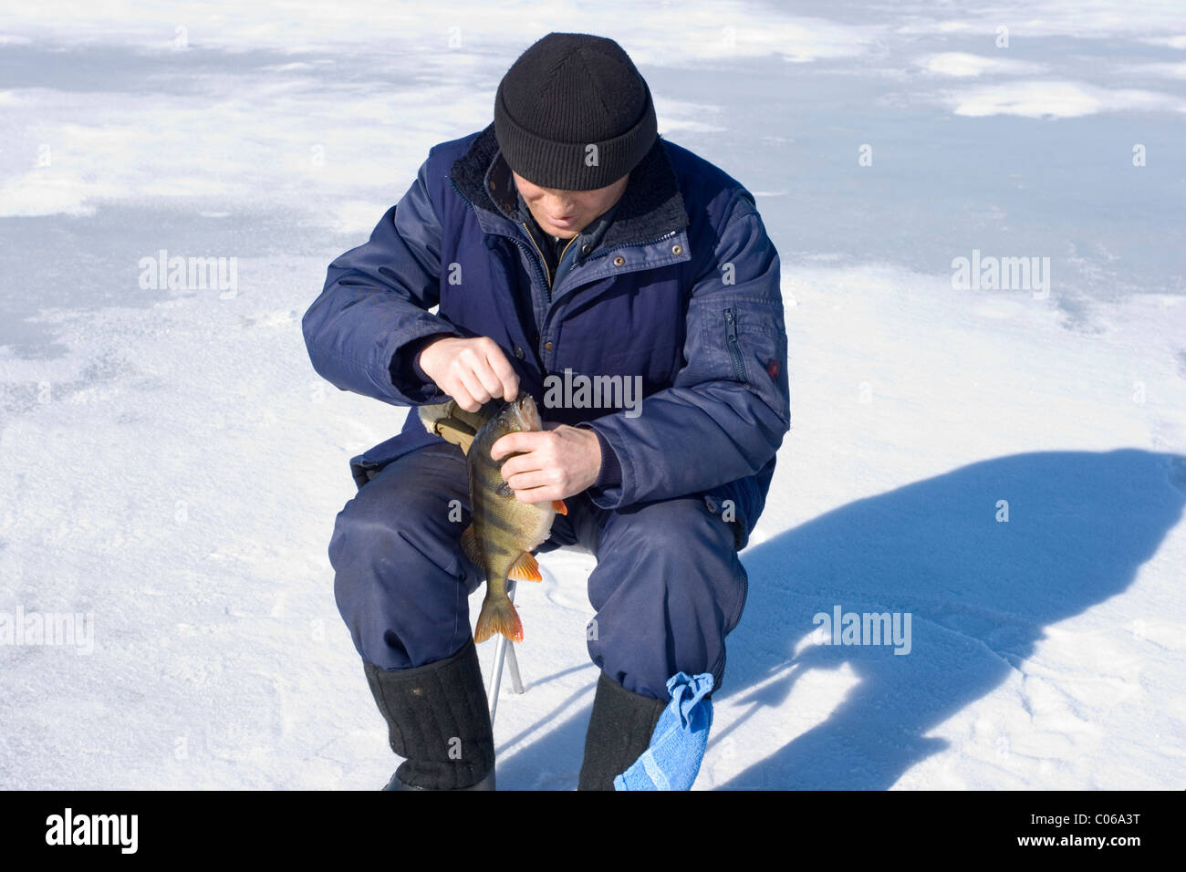 Pêcheur a caughted grande perche sur la pêche sur glace Banque D'Images