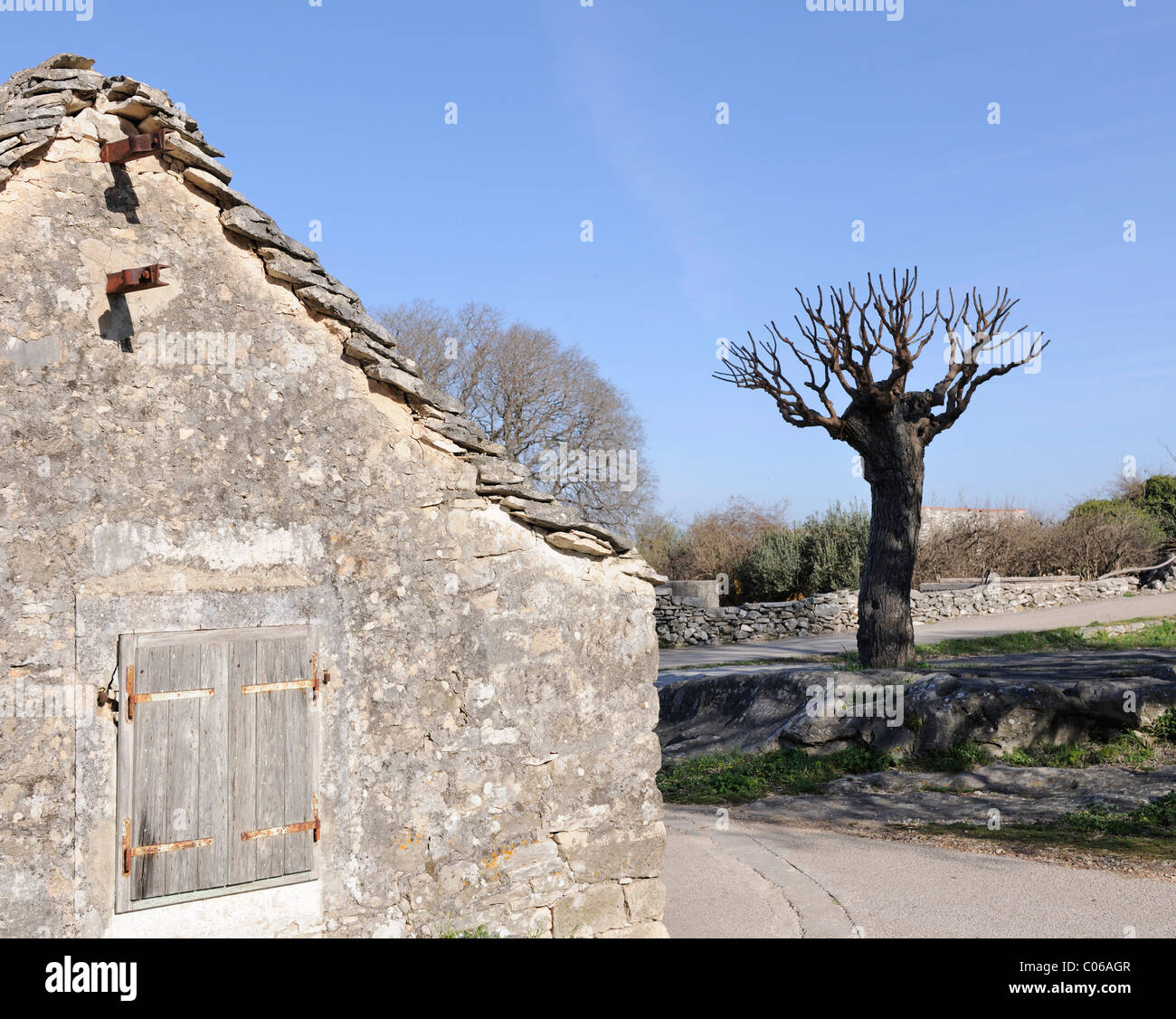 Ancienne maison en pierre avec toit en pierre, Skrip, île de Brac, Croatie, Europe Banque D'Images