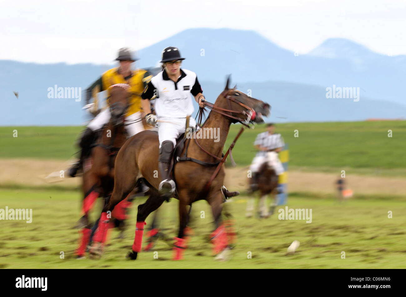 Max de Bosch, Porsche Équipe joueurs luttant pour la balle, polo, joueurs, tournoi de polo Banque D'Images