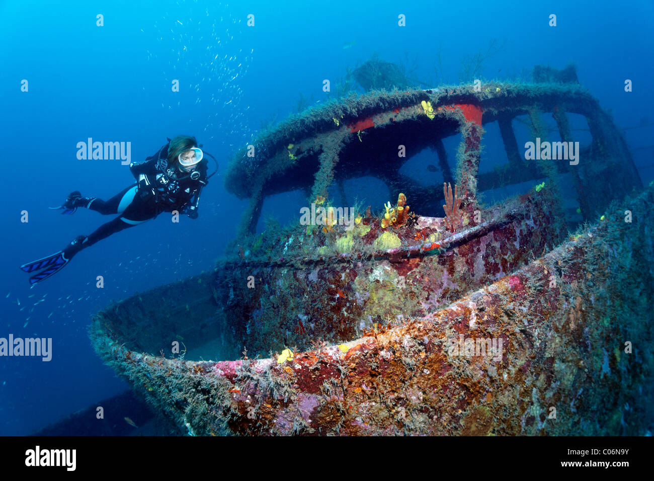 Scuba Diver le pont d'observation de l'épave, Table ronde, Speyside, Trinité-et-Tobago, Petites Antilles, mer des Caraïbes Banque D'Images