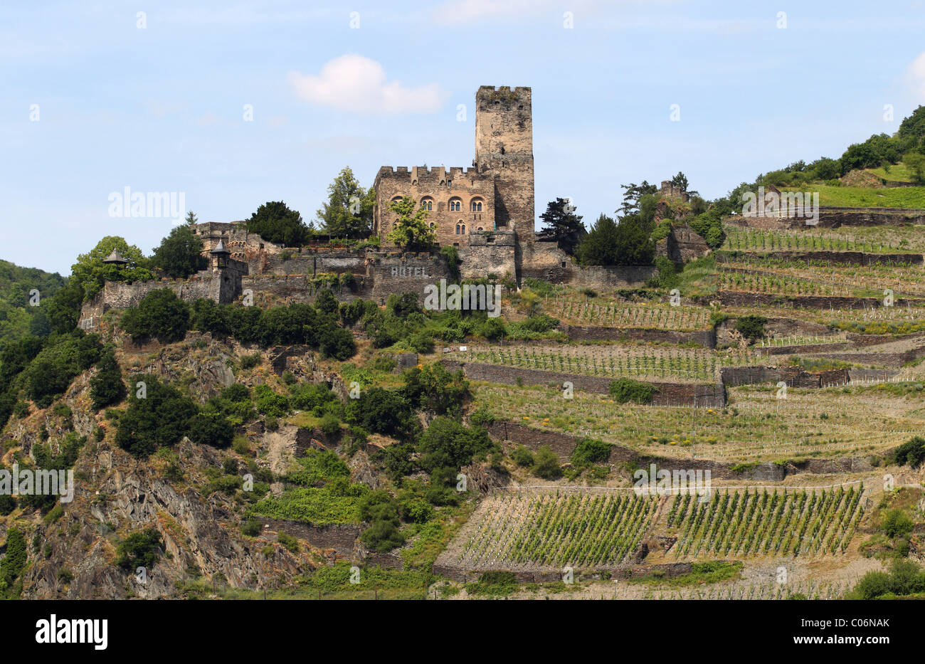 Château Gutenfels près de Kaub, Rhénanie-Palatinat, Allemagne, Europe Banque D'Images