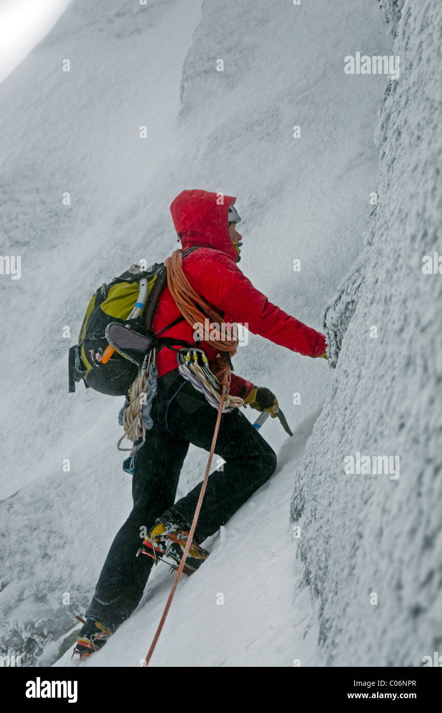 Un grimpeur sur Tower Ridge, Ben Nevis, Ecosse Banque D'Images