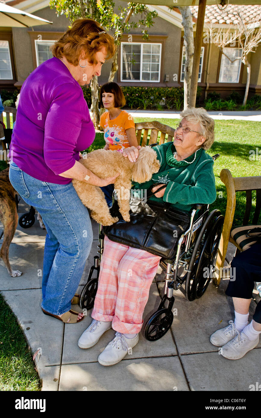 Une femme bénévole de bienfaisance présente son chien de thérapie d'un patient dans une maison de retraite à Mission Viejo, en Californie. Banque D'Images