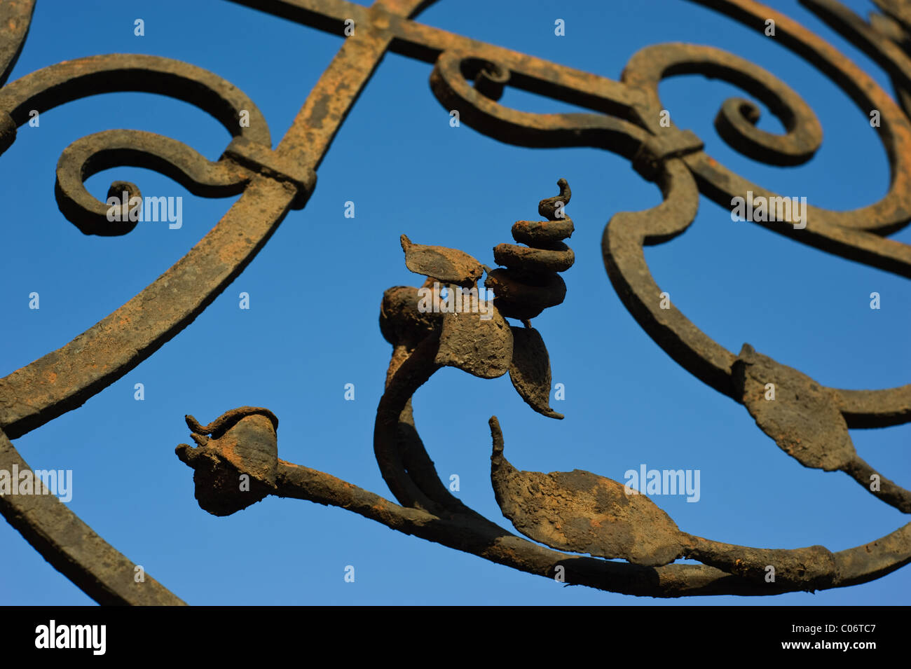 Détail de la ferronnerie sur une porte. Cluj-Napoca, Roumanie. Banque D'Images