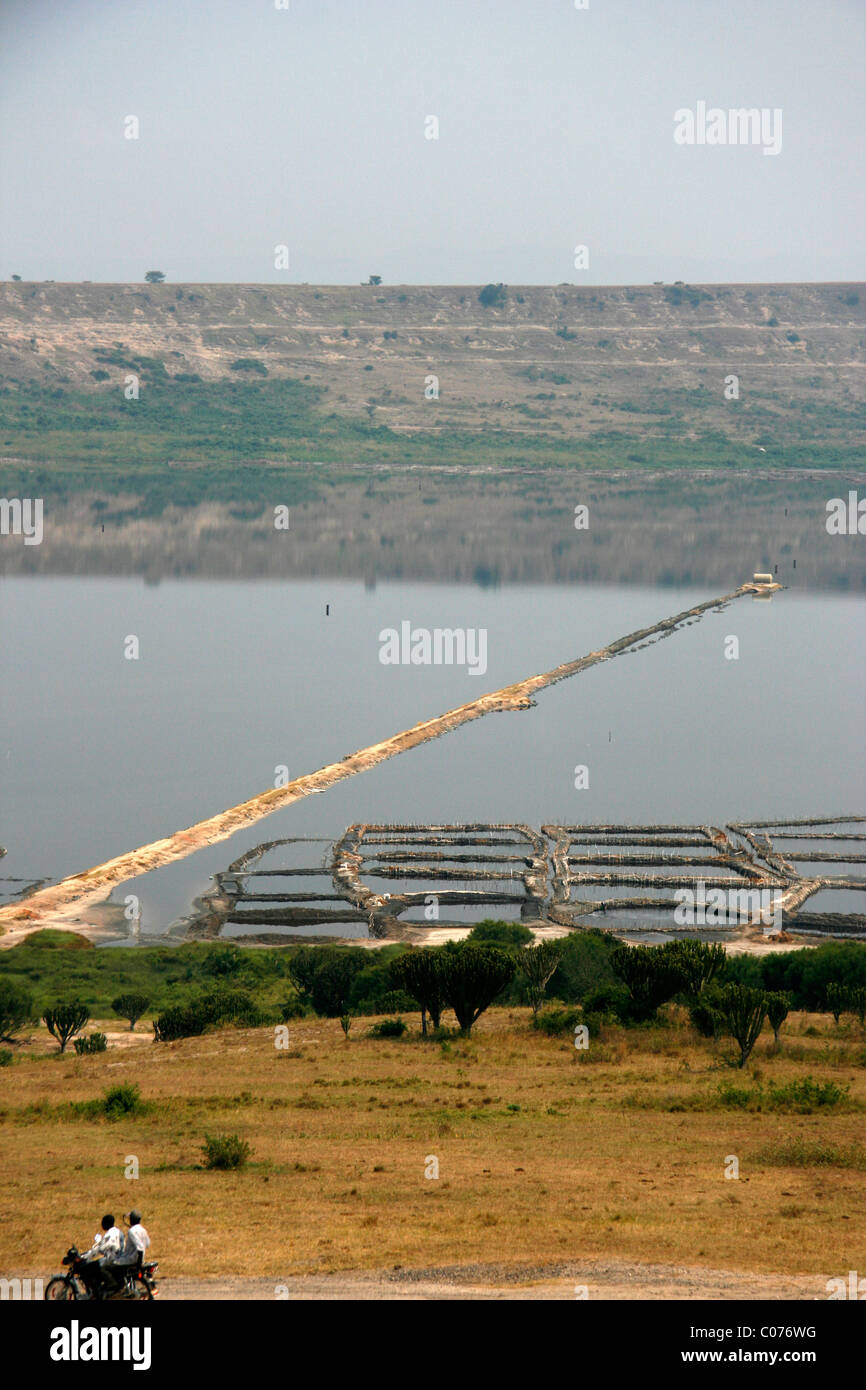 L'extraction de sel dans le lac Katwe près de Parc national Queen Elizabeth, à l'ouest de l'Ouganda Banque D'Images