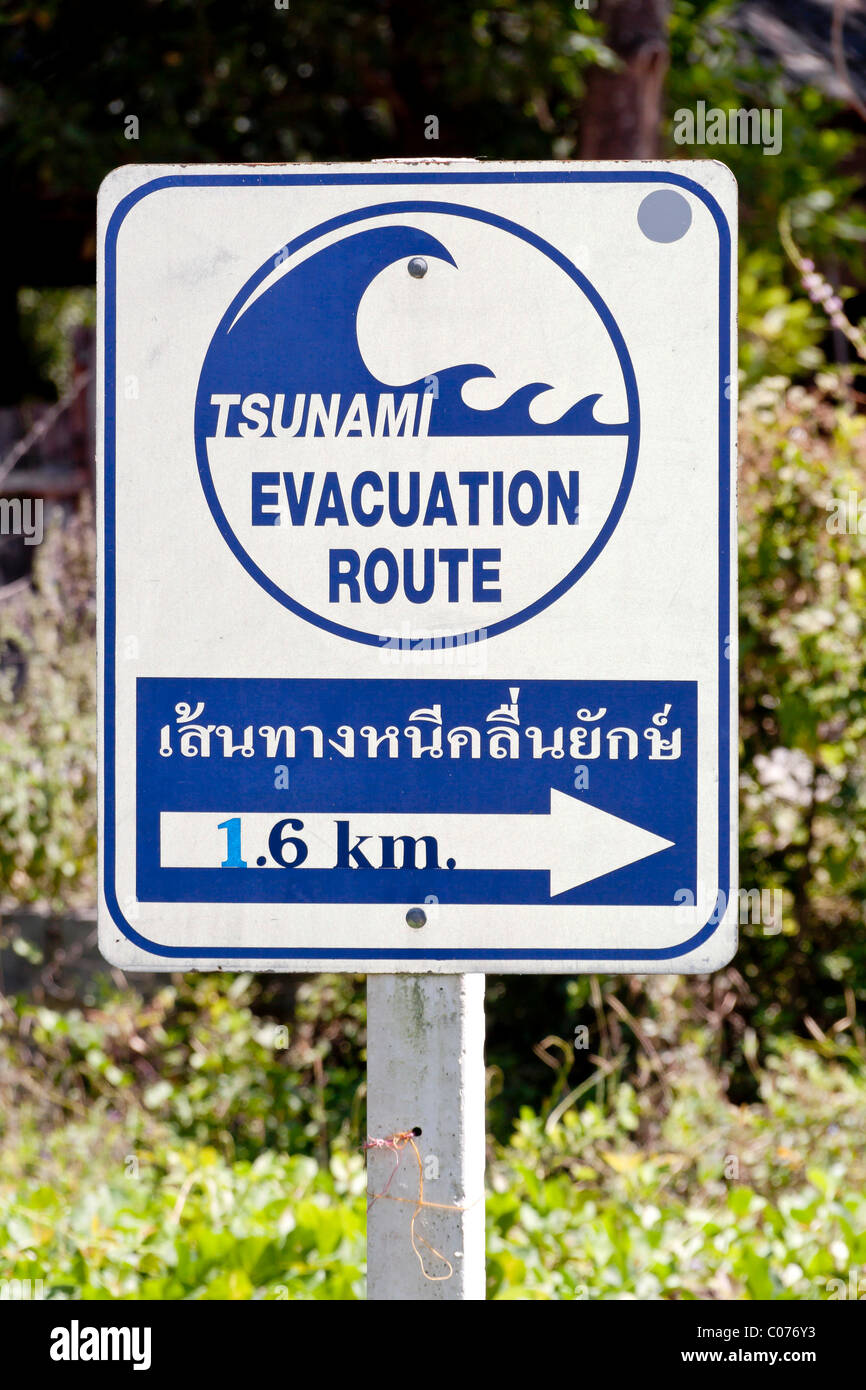 Panneau indiquant une zone de sécurité tsunami, Plage de Bang Tao, l'île de Phuket, Thaïlande, Asie du Sud-Est, Asie Banque D'Images
