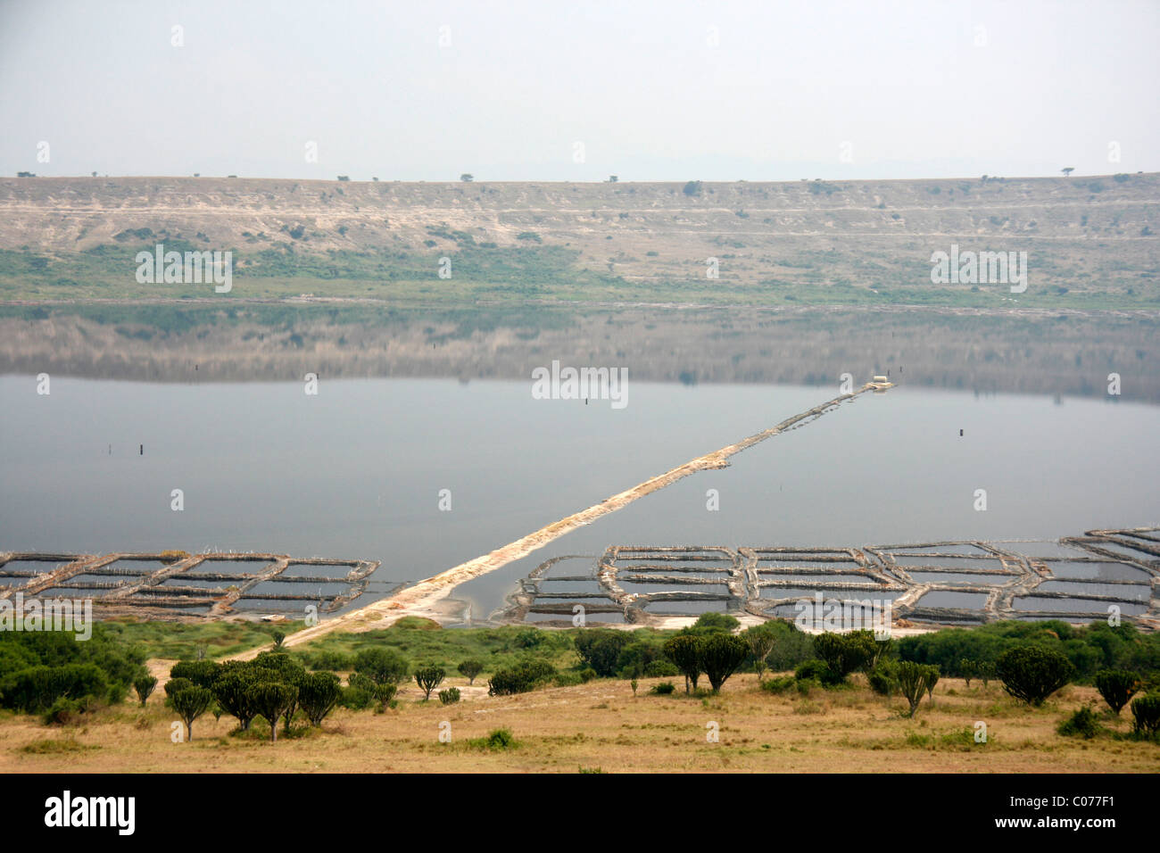 L'extraction de sel dans le lac Katwe près de Parc national Queen Elizabeth, à l'ouest de l'Ouganda Banque D'Images