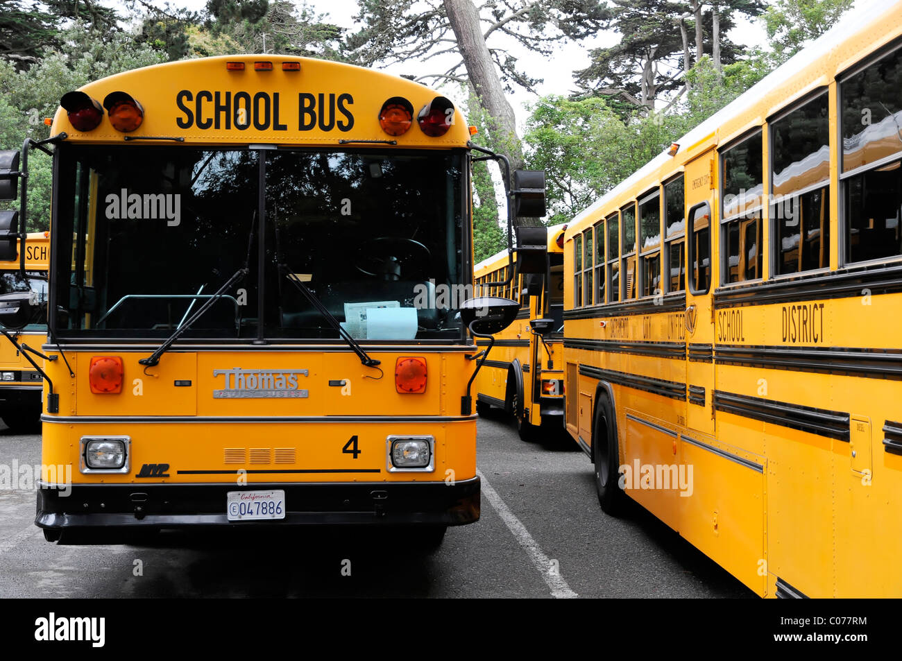 Les autobus scolaires au Japanese Tea Garden, San Francisco, Californie, États Unis, Amérique du Nord Banque D'Images