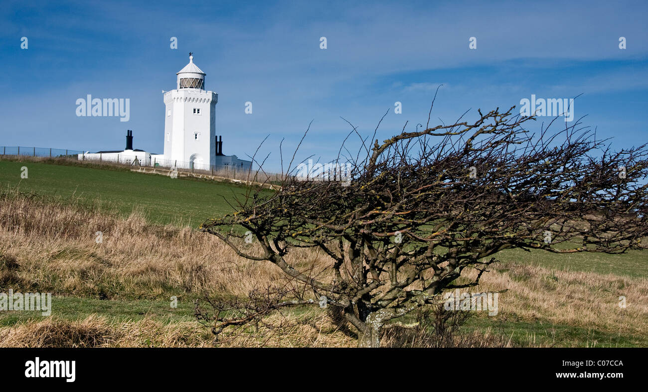 Phare avant-pays du Sud, une propriété du National Trust sur les falaises de Douvres, Kent Banque D'Images