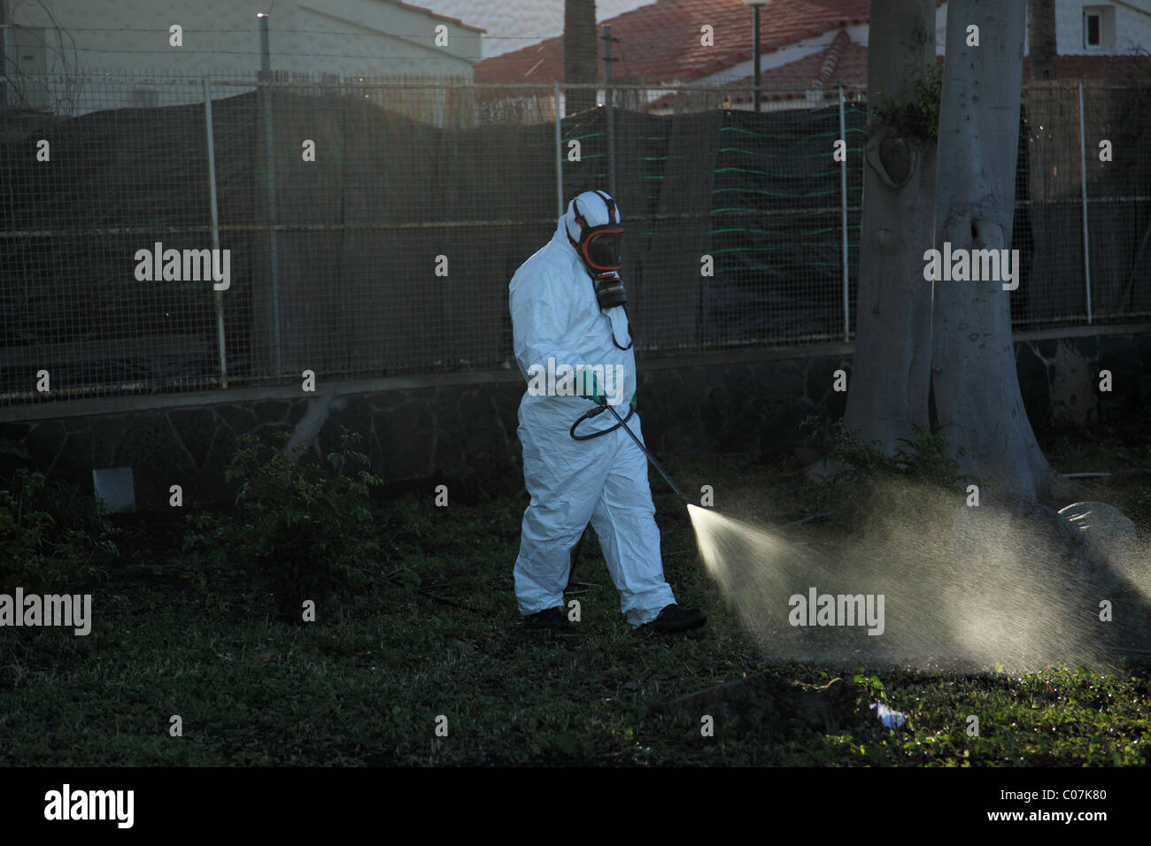 Les mauvaises herbes la pulvérisation de pesticides dans un parc, Maspalomas, Gran Canaria. Banque D'Images