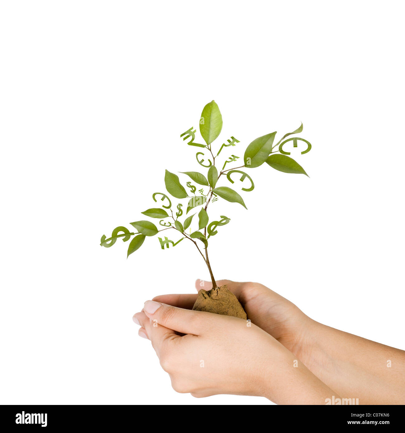 Les mains tenant une plante avec des feuilles des symboles de devises Banque D'Images
