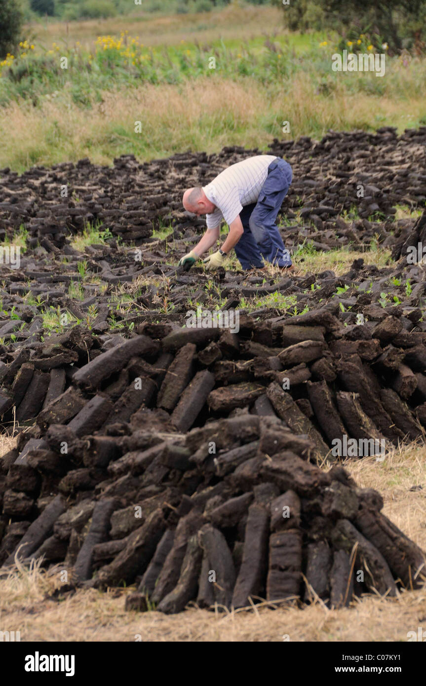 Briquettes de tourbe pour carburant domestique privée d'être séchés par les habitants eux-mêmes, à Birr, Offaly, Midlands, Irlande, Europe Banque D'Images