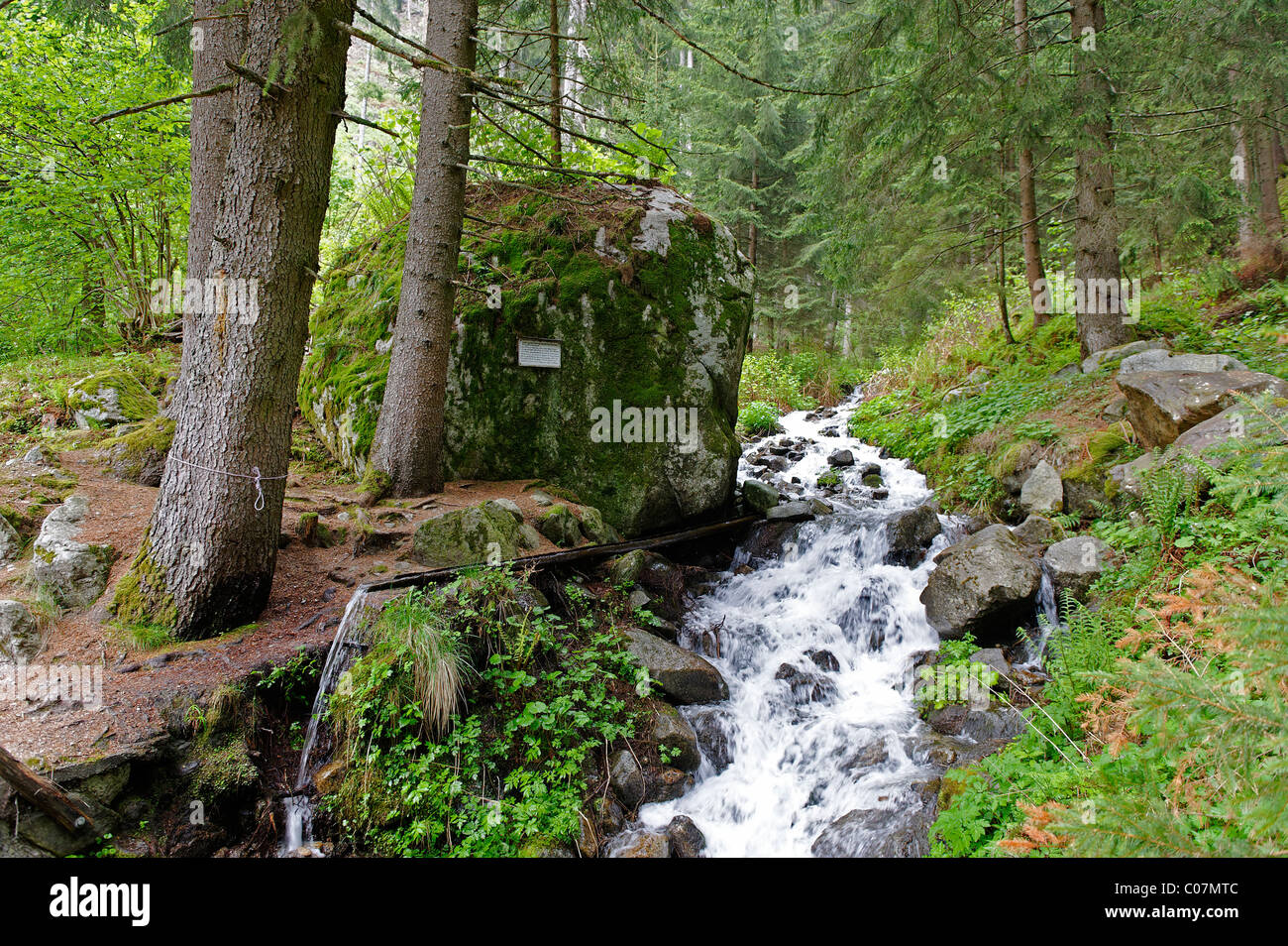 Rock, balayée par la descente, 200 tonnes d'eau lourde, Creek, près de l'Holzner Muehle mill, Schenna, district de Burggrafenamt Banque D'Images