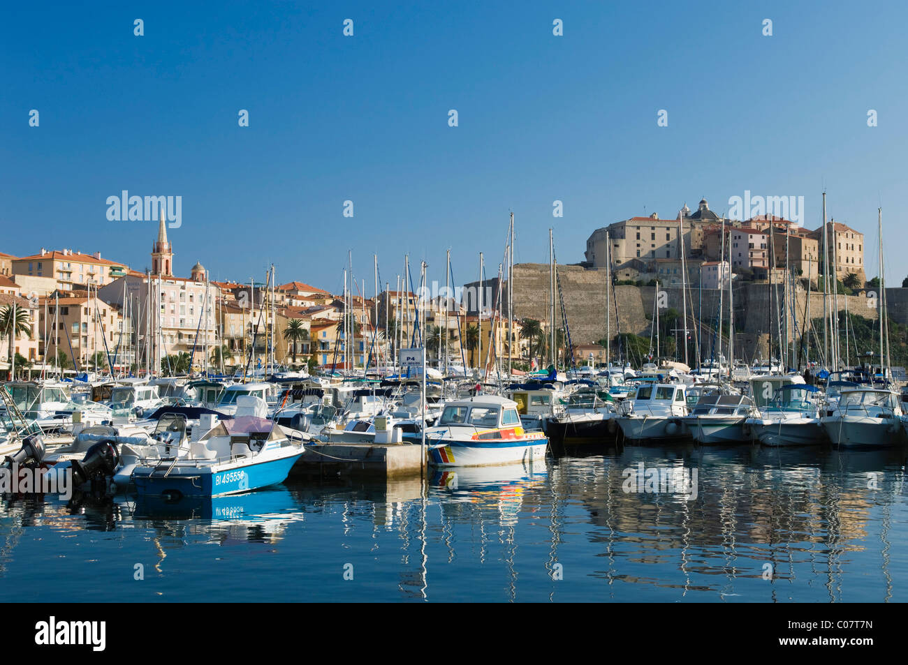 Port et citadelle de Calvi, Balagne, Corse, France, Europe Banque D'Images