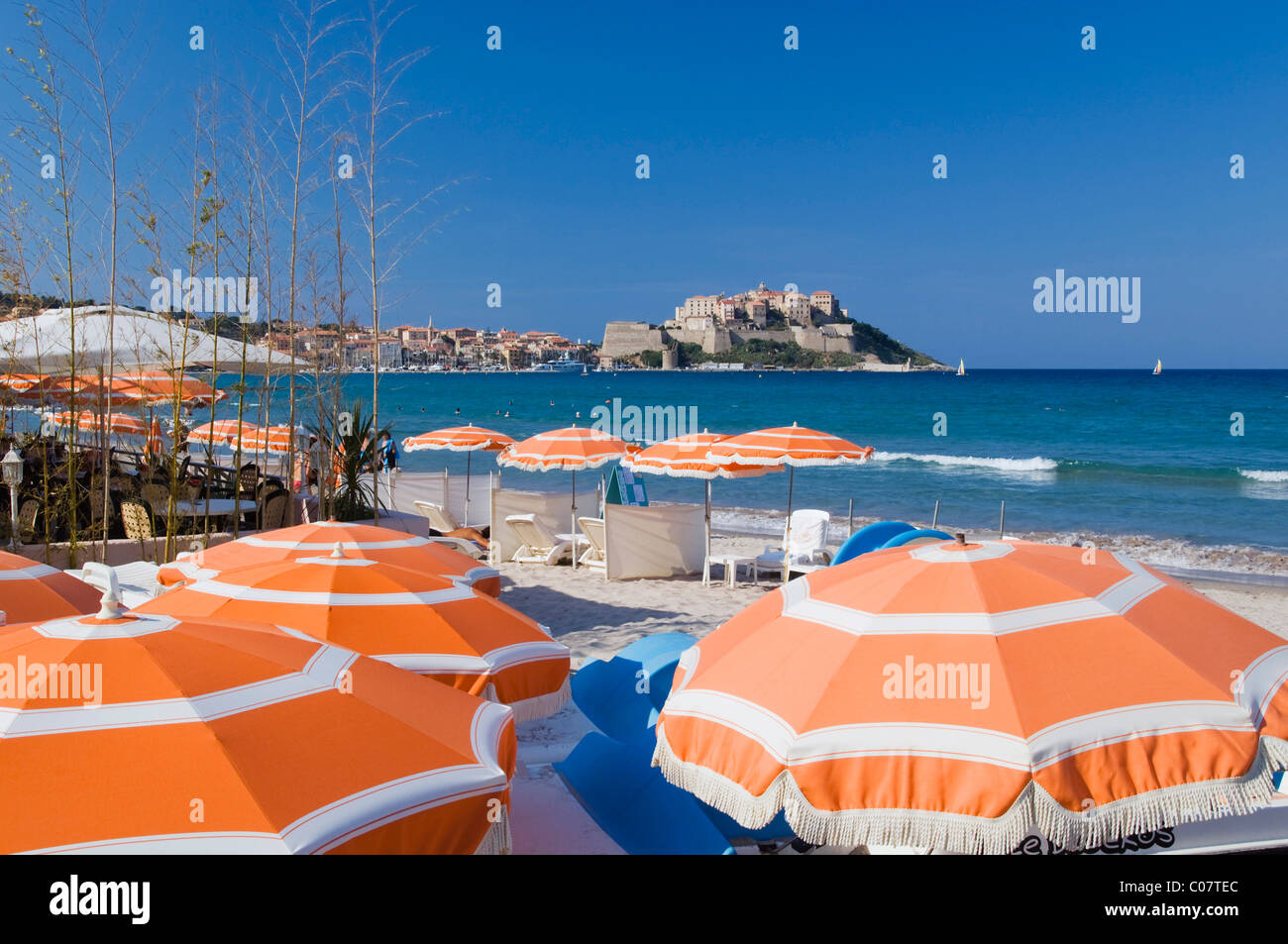 Parasols sur la plage, vue sur la citadelle de Calvi, Balagne, Corse, France, Europe Banque D'Images