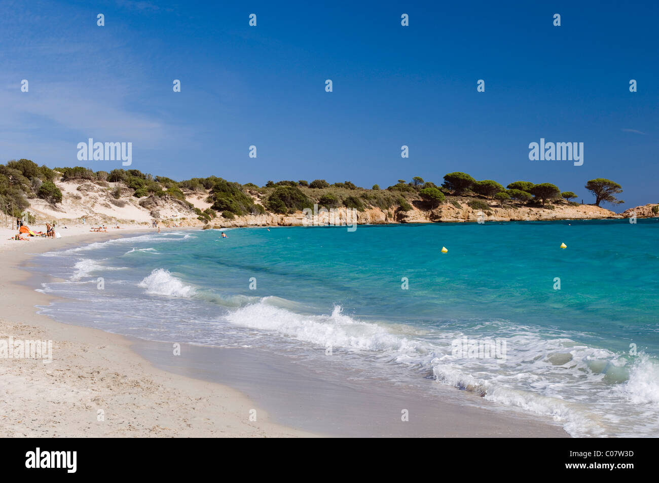Plage de sable fin, de la baie de Palombaggia, Côte Est, Corse, France, Europe Banque D'Images