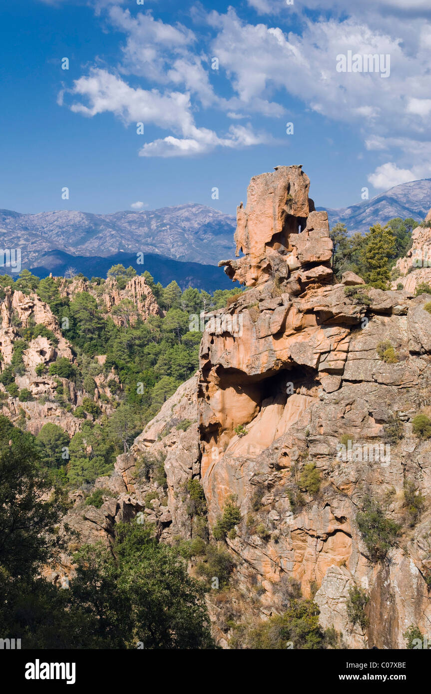 Les roches de porphyre rouge, Calanche de Piana, golfe de Porto, Corse, France, Europe Banque D'Images