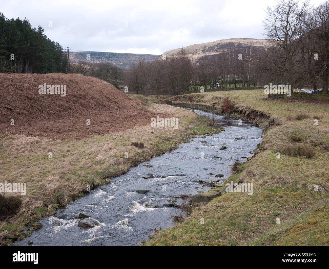 Crowden Brook, Crowden-In-Longdendale, Glossop Derbyshire, Angleterre,,Royaume-Uni. Banque D'Images