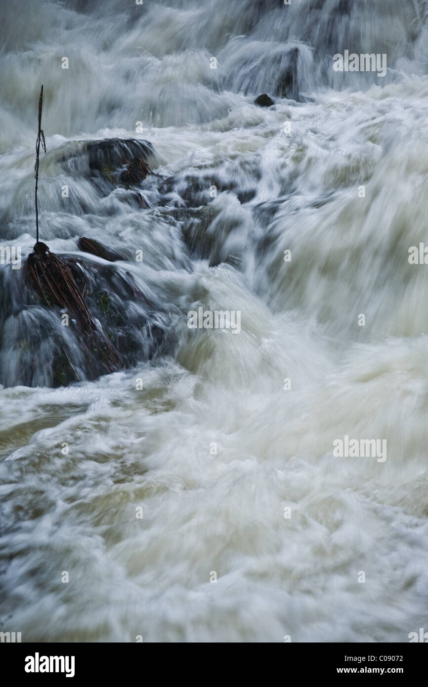 Image de ruisseau à débit rapide en plein déluge Banque D'Images