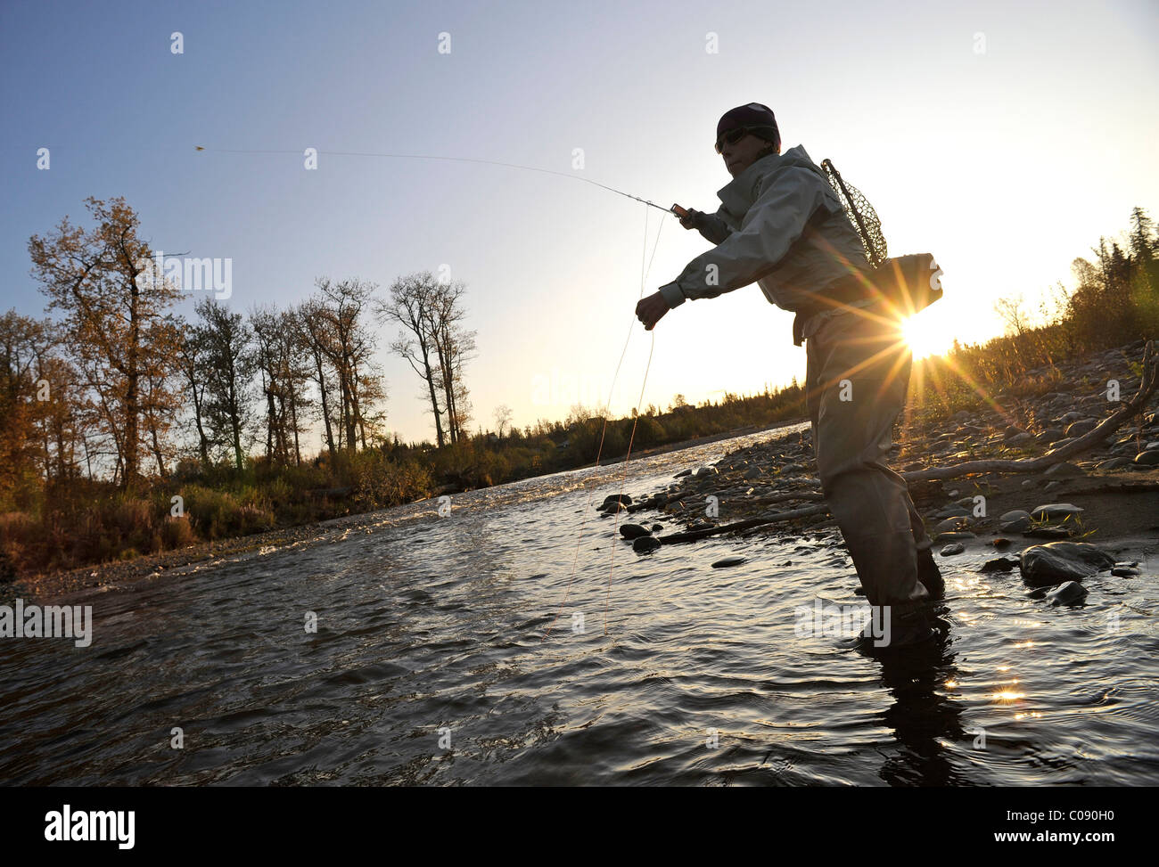 Pêche à la mouche et d'une femme jette pour truites sauvages sur Deep Creek, péninsule de Kenai, Southcentral Alaska, automne Banque D'Images
