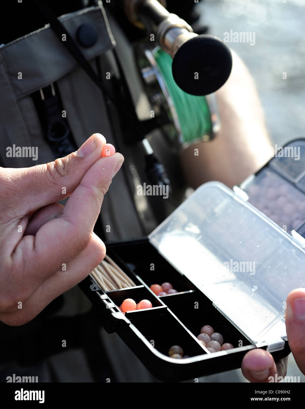 Close up of a fly fisherman holding a de Deep Creek, péninsule de Kenai, Southcentral Alaska, automne Banque D'Images