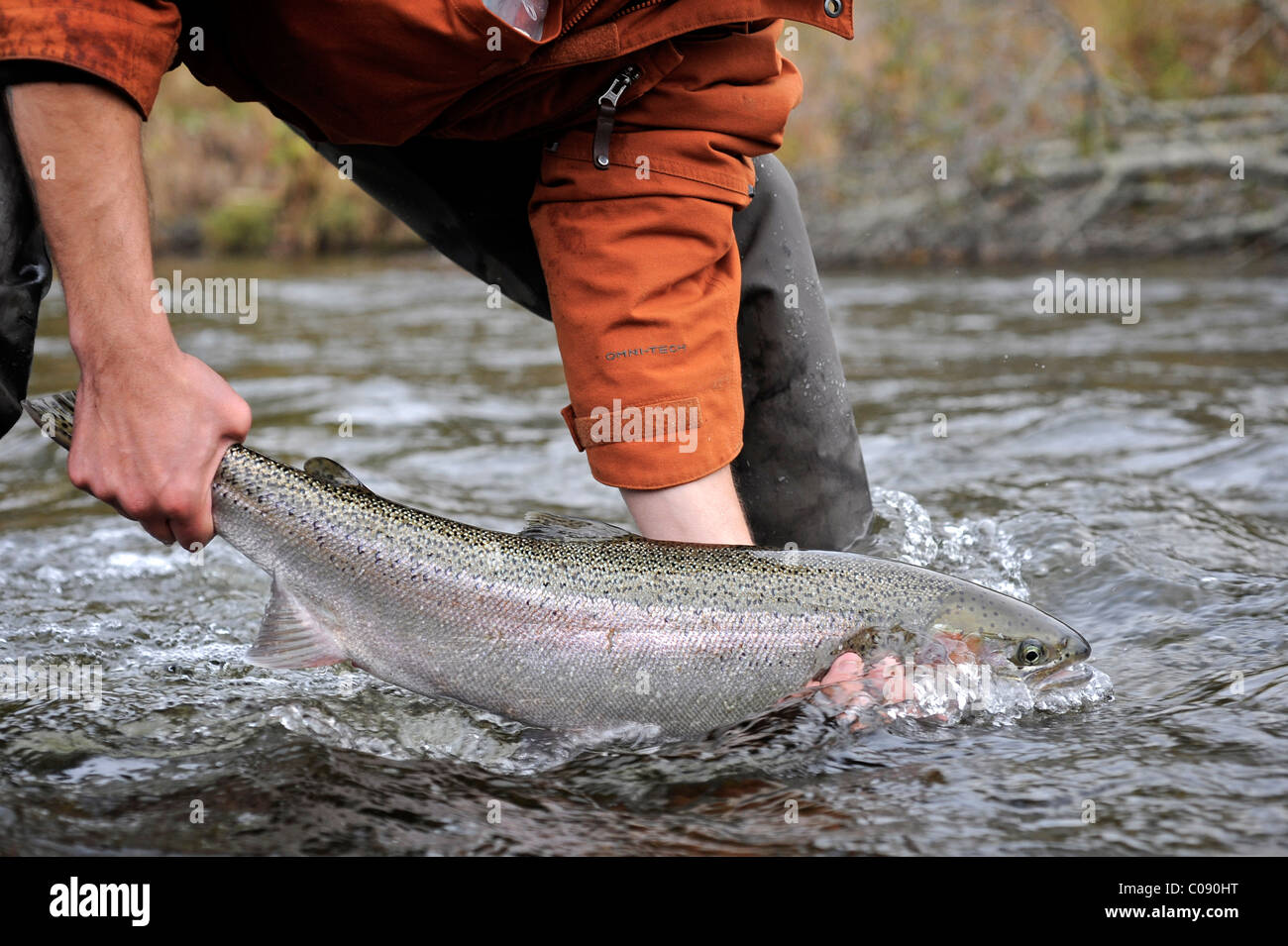 L'homme et de la femme à genoux dans l'eau pour montrer un arc-en-ciel sauvages capturés dans Deep Creek, péninsule de Kenai, Southcentral Alaska, automne Banque D'Images