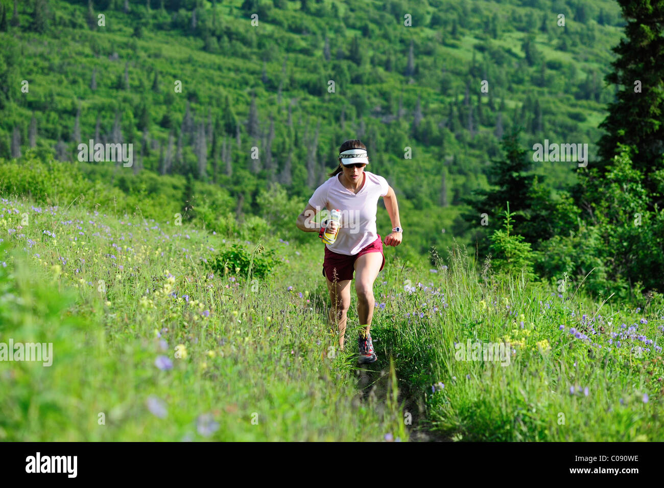 Female jogger exécute le point à proximité de sentier du parc d'état de Chugach, près d'Anchorage, Southcentral Alaska, l'été Banque D'Images