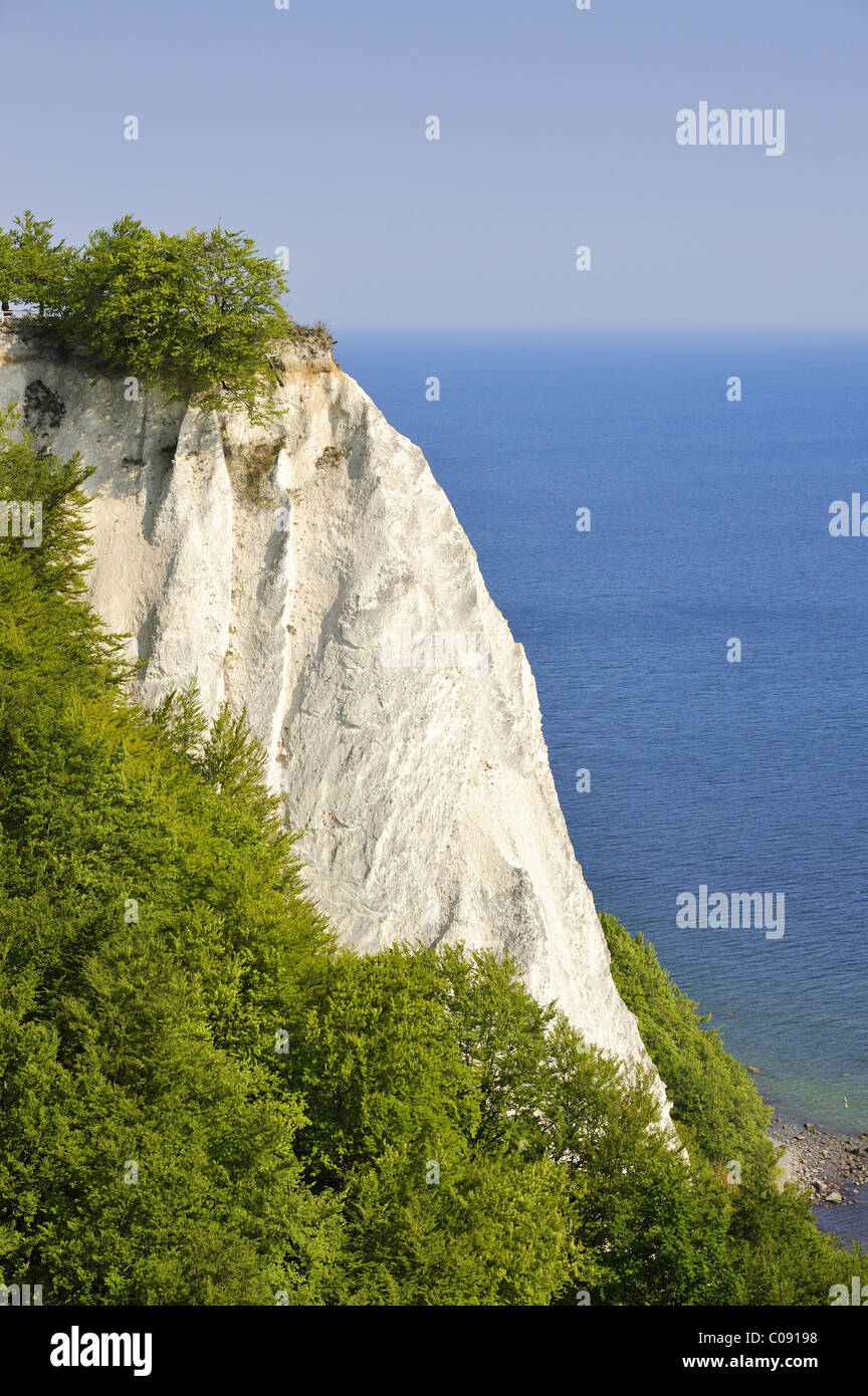 L'Koenigsstuhl, célèbre falaise de craie dans la zone Stubbenkammer, Nationalpark Parc national de Jasmund, île de la mer Baltique Ruegen Banque D'Images