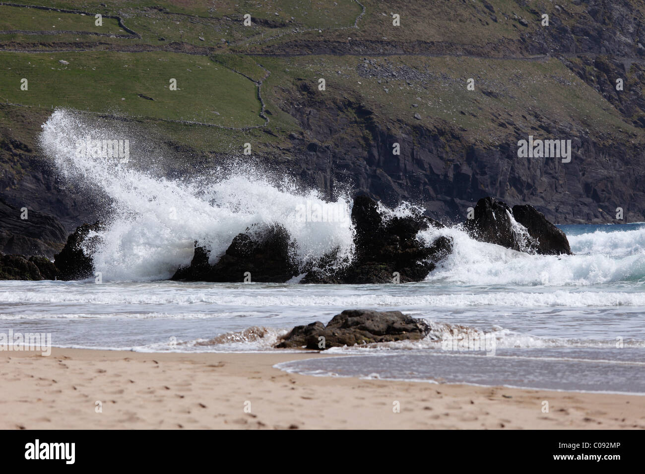 Surfez à Slea Head, péninsule de Dingle, comté de Kerry, Ireland, British Isles, Europe Banque D'Images