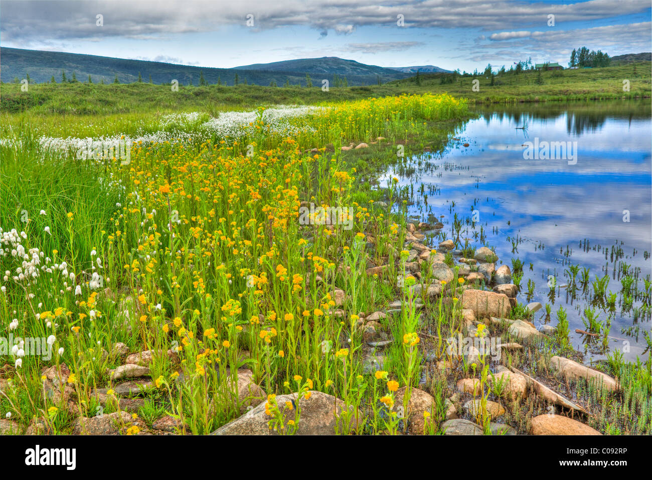 Vue d'un étang de toundra, de fleurs sauvages et le ranger du parc, près de Wonder Lake dans le parc national Denali, HDR Banque D'Images