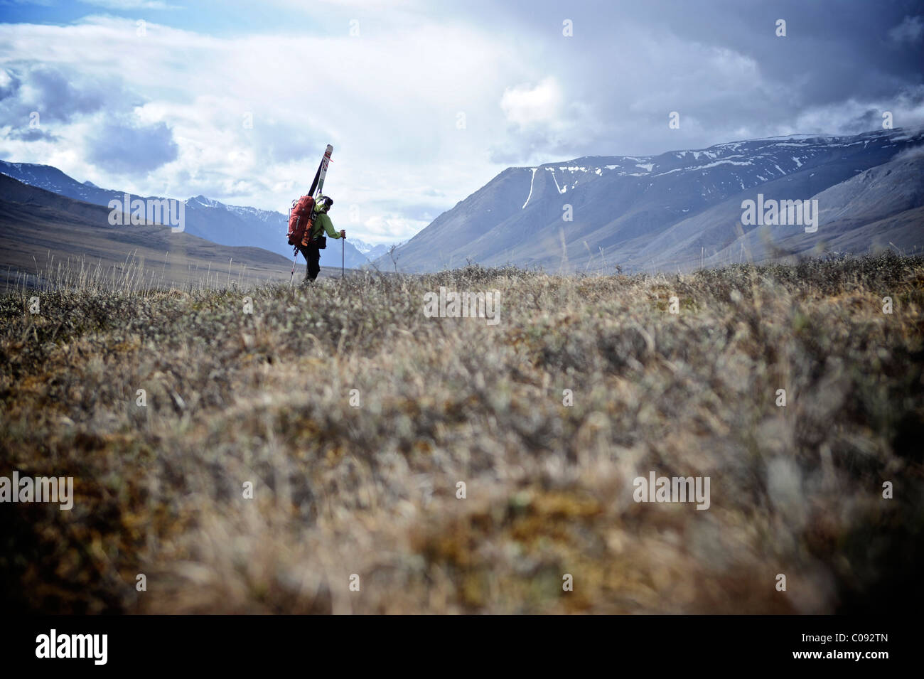 La skieuse de l'arrière-pays et les skis de randonnées avec pack Hulahula au-dessus de la rivière, de Brooks, la réserve faunique nationale de l'Alaska arctique, l'été, Banque D'Images