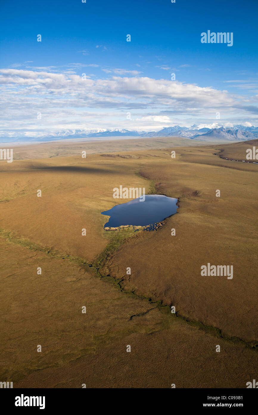 Vue aérienne d'un petit lac dans la plaine côtière de l'Arctic National Wildlife Refuge, de l'Arctique en Alaska, l'été Banque D'Images