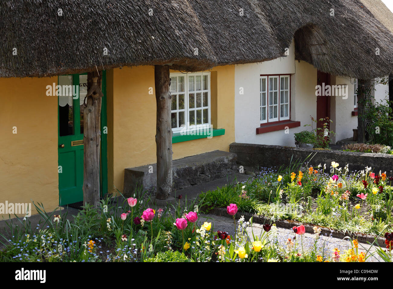 Maisons avec toit de chaume, Adare, comté de Limerick, Ireland, British Isles, Europe Banque D'Images