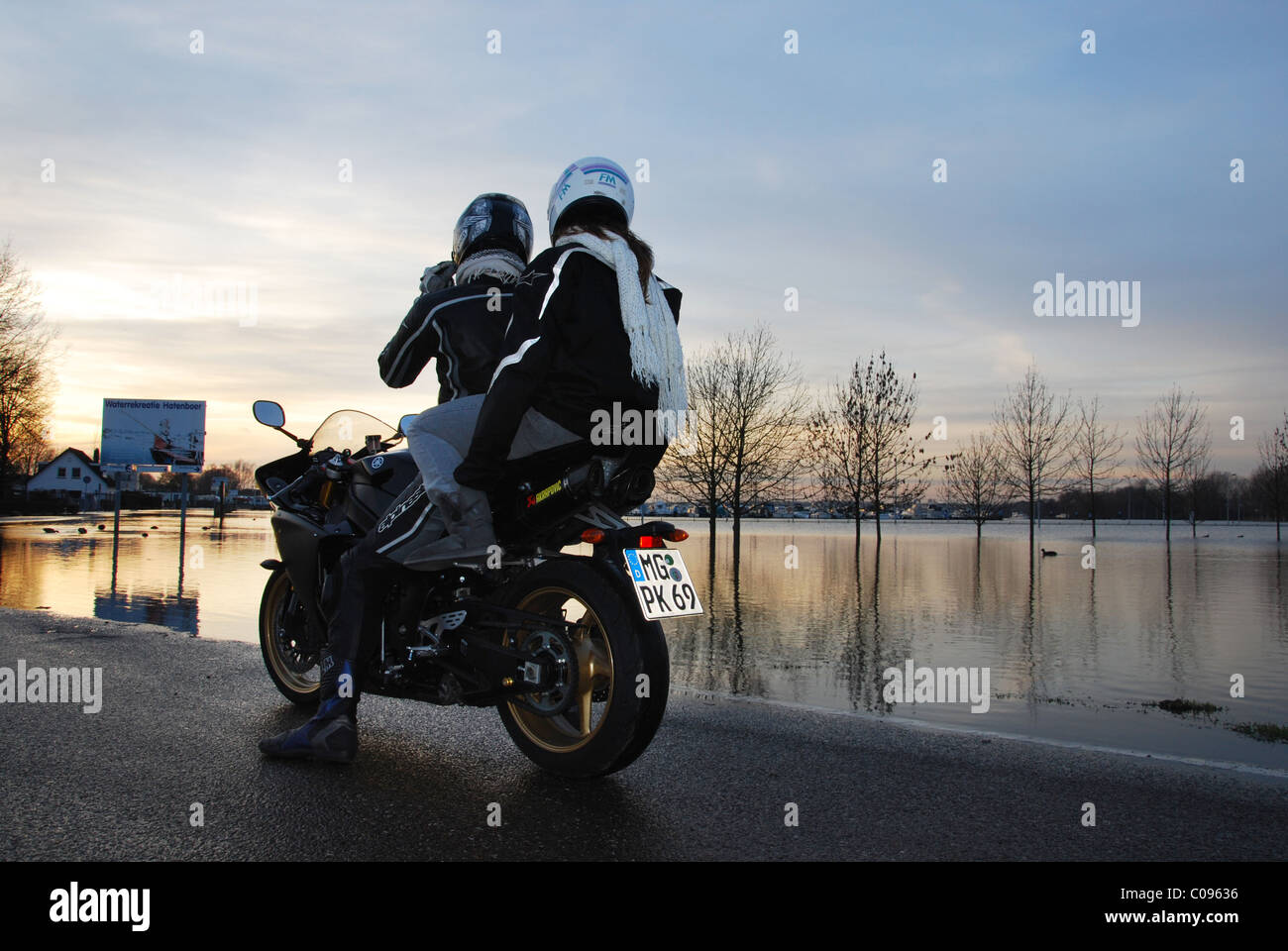 Berges inondées de Meuse Roermond Pays-Bas Banque D'Images