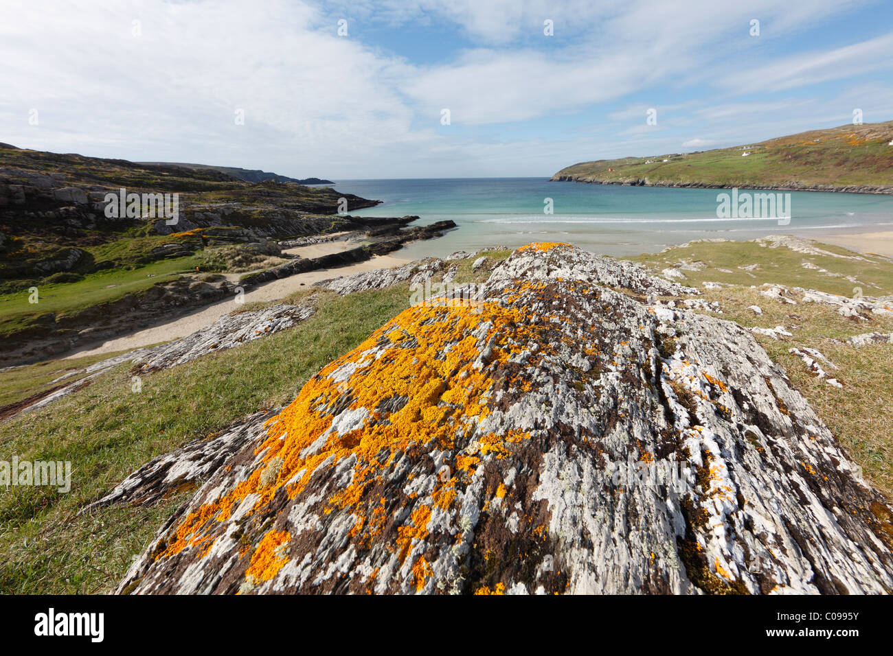 Rock avec les lichens, l'orge Cove, Mizen Head Peninsula, West Cork, Republic of Ireland, British Isles, Europe Banque D'Images